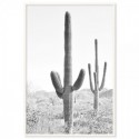 Desert Cactus Art Print