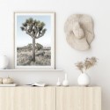 Joshua Trees California Art Print