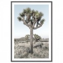 Joshua Trees California Art Print