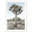 Joshua Trees California Art Print