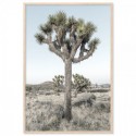 Joshua Trees California Art Print