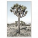 Joshua Trees California Art Print