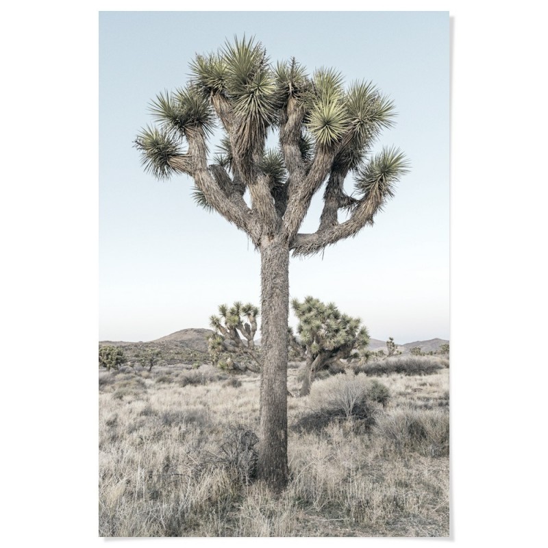 Joshua Trees California Art Print