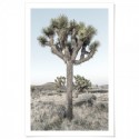 Joshua Trees California Art Print