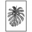 Monstera Monochrome Watercolour Art Print