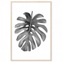 Monstera Monochrome Watercolour Art Print