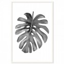 Monstera Monochrome Watercolour Art Print