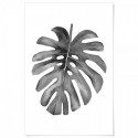 Monstera Monochrome Watercolour Art Print