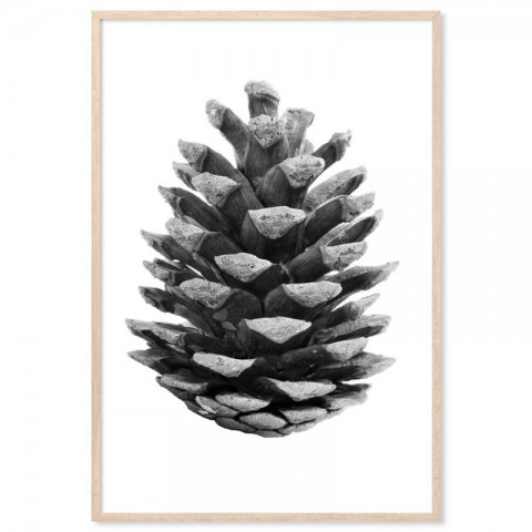 Pine Cone Art Print
