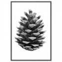 Pine Cone Art Print