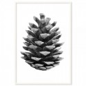 Pine Cone Art Print