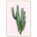 Saguaro Cactus Pink Art Print