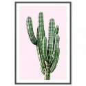 Saguaro Cactus Pink Art Print