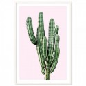 Saguaro Cactus Pink Art Print
