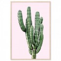 Saguaro Cactus Pink Art Print