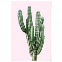 Saguaro Cactus Pink Art Print