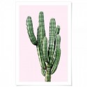 Saguaro Cactus Pink Art Print