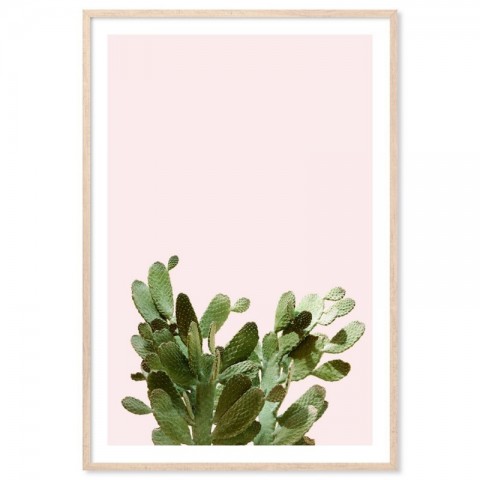 Summer Cactus Art Print