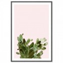 Summer Cactus Art Print