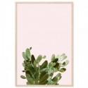 Summer Cactus Art Print