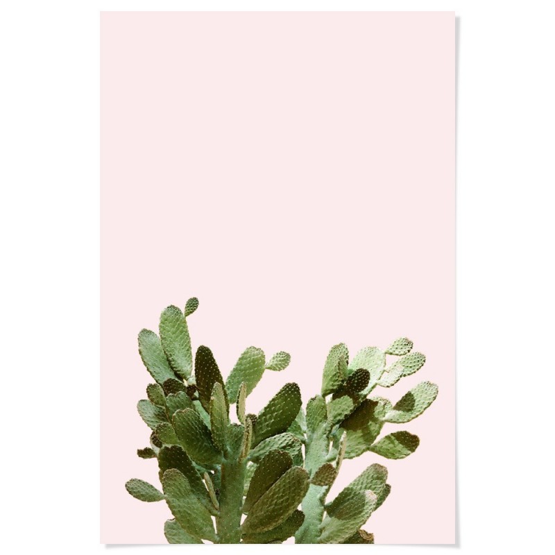 Summer Cactus Art Print