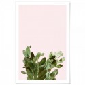 Summer Cactus Art Print