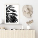 Beach Palm Black Art Print