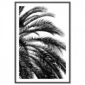 Beach Palm Black Art Print