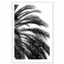 Beach Palm Black Art Print