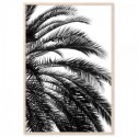 Beach Palm Black Art Print