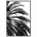 Beach Palm Black Art Print