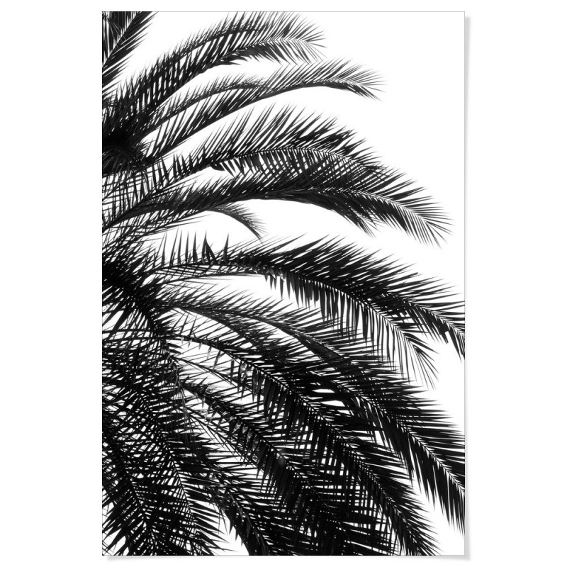 Beach Palm Black Art Print