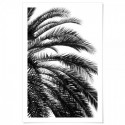 Beach Palm Black Art Print