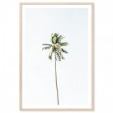 Beach Palm Tree Art Print