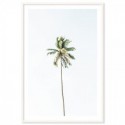 Beach Palm Tree Art Print