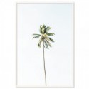 Beach Palm Tree Art Print