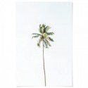 Beach Palm Tree Art Print