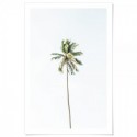 Beach Palm Tree Art Print