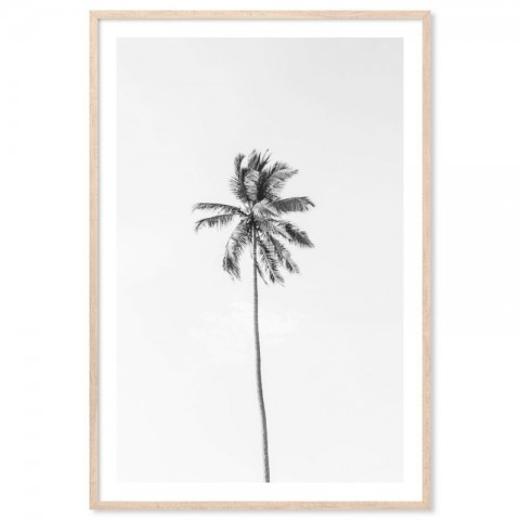 Beach Palm Tree Monochrome Art Print