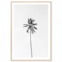 Beach Palm Tree Monochrome Art Print