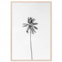 Beach Palm Tree Monochrome Art Print