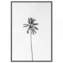 Beach Palm Tree Monochrome Art Print