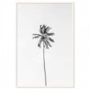 Beach Palm Tree Monochrome Art Print