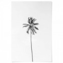 Beach Palm Tree Monochrome Art Print