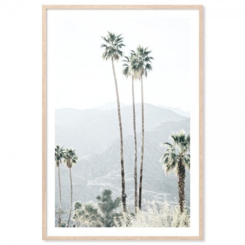 California Palms Art Print