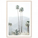 California Palms Art Print