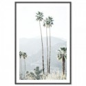 California Palms Art Print