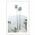 California Palms Art Print