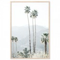 California Palms Art Print