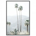 California Palms Art Print